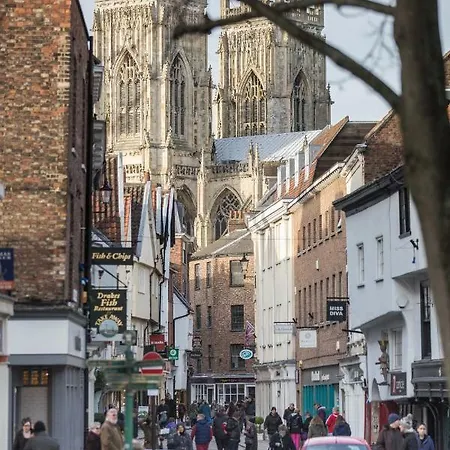 Apartment Hunter's Retreat